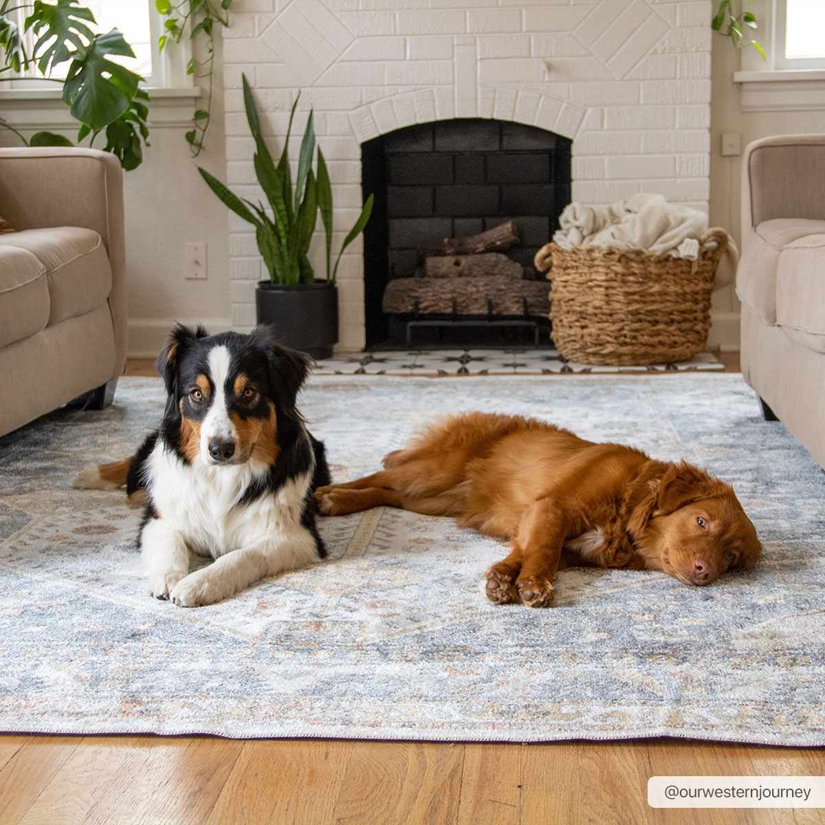 Afya Boutique Washable Rug-2