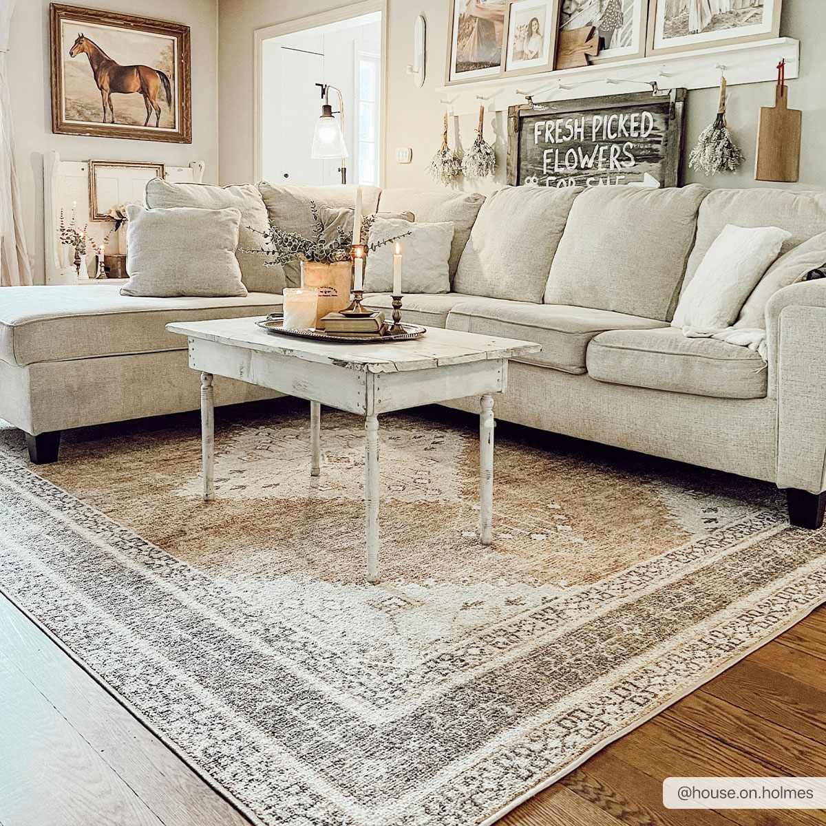Albas Washable Area Rug-1