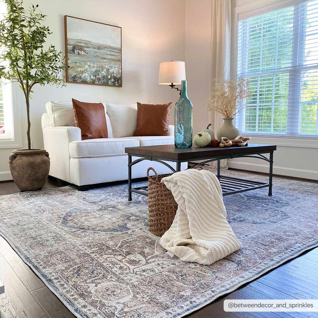 Mignon Washable Area Rug-1
