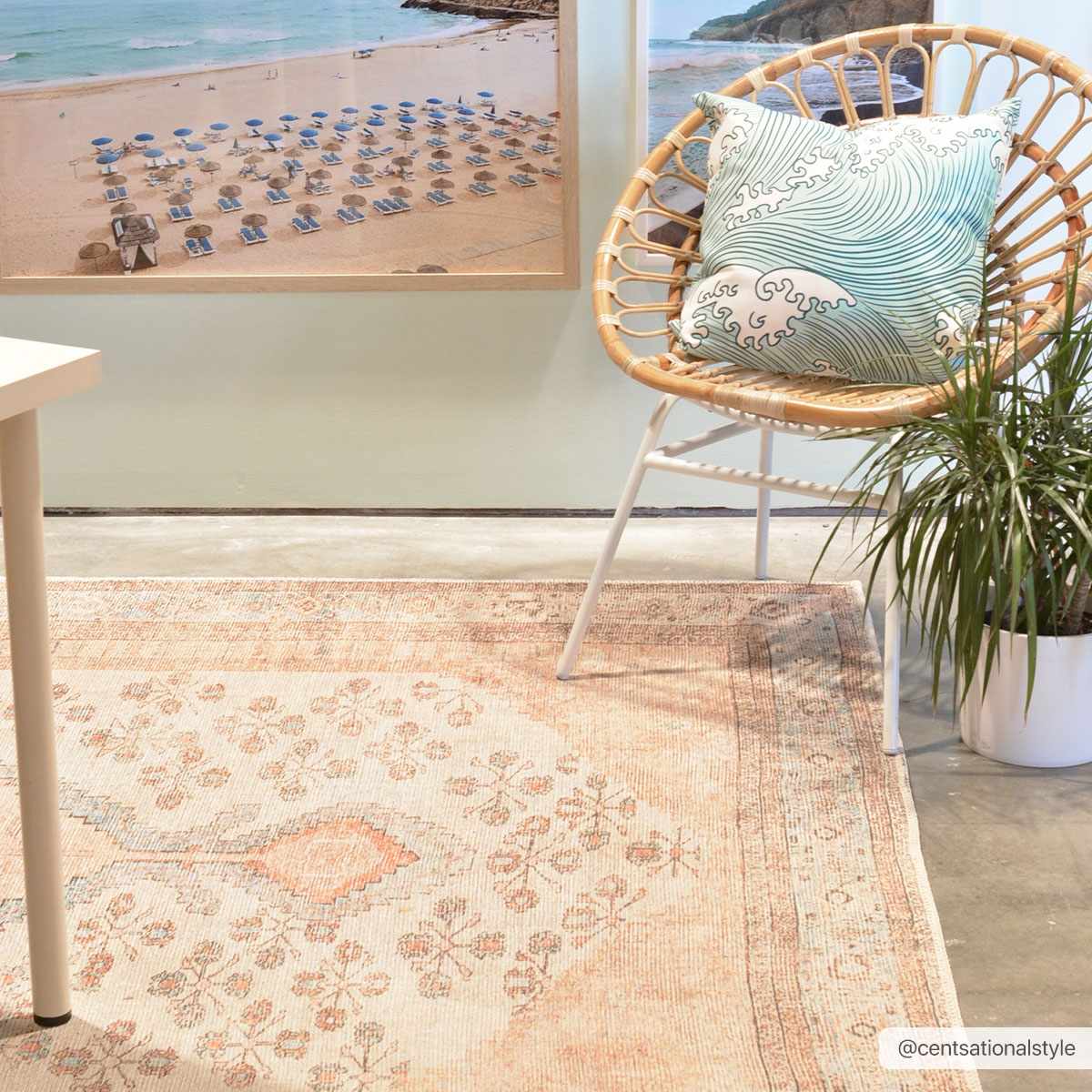 Moora Washable Area Rug-3