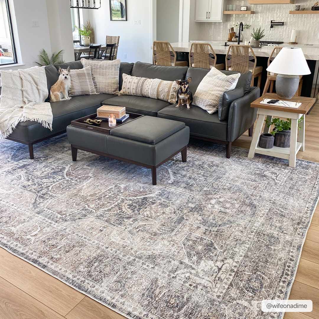 Mignon Washable Area Rug-2